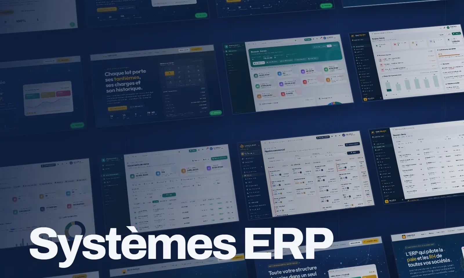 Systèmes ERP